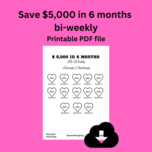 Save $5,000 in 6 months  Bi-Weekly