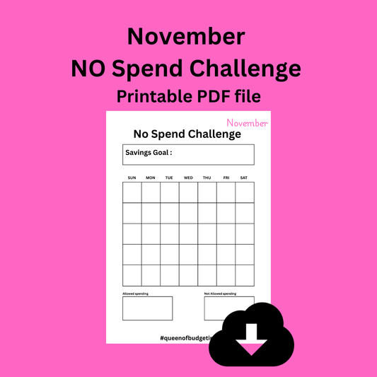 November No Spend Challenge